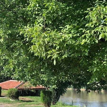 Apartmani Morava 54 Kocino Selo Bagian luar foto