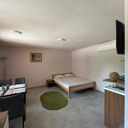 Apartmani Morava 54 Kocino Selo Bagian luar foto