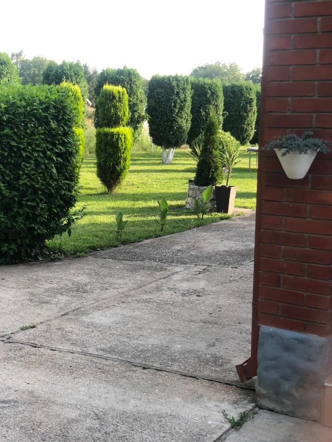 Apartmani Morava 54 Kocino Selo Bagian luar foto