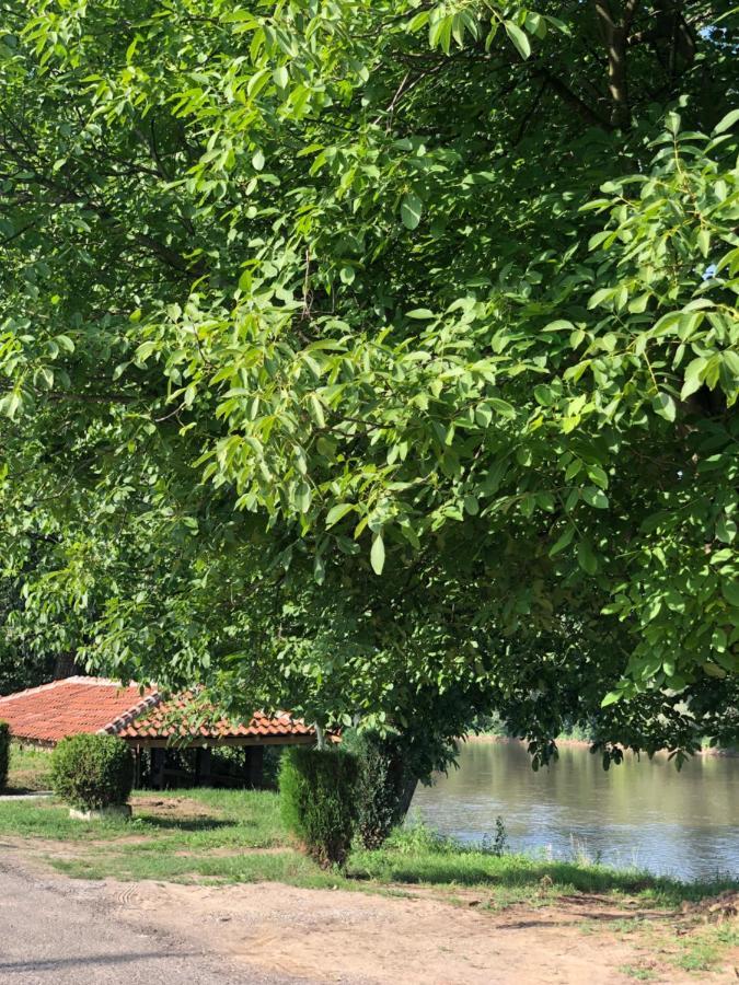 Apartmani Morava 54 Kocino Selo Bagian luar foto