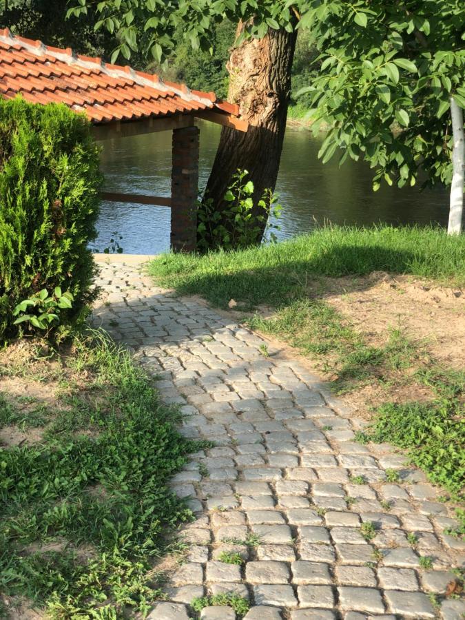Apartmani Morava 54 Kocino Selo Bagian luar foto