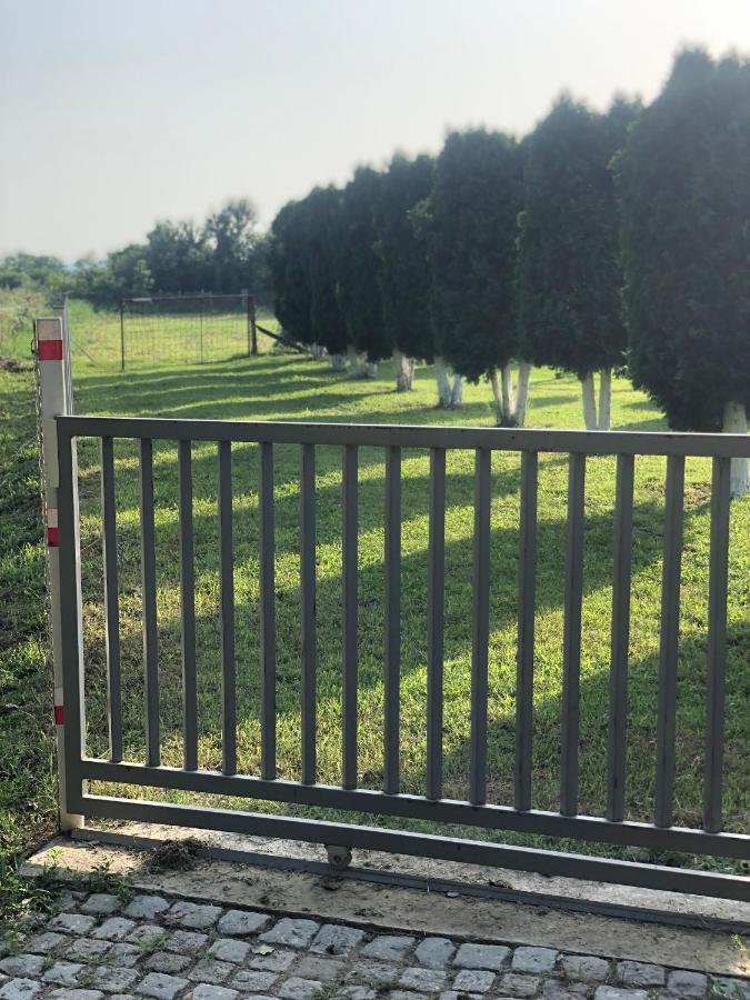 Apartmani Morava 54 Kocino Selo Bagian luar foto