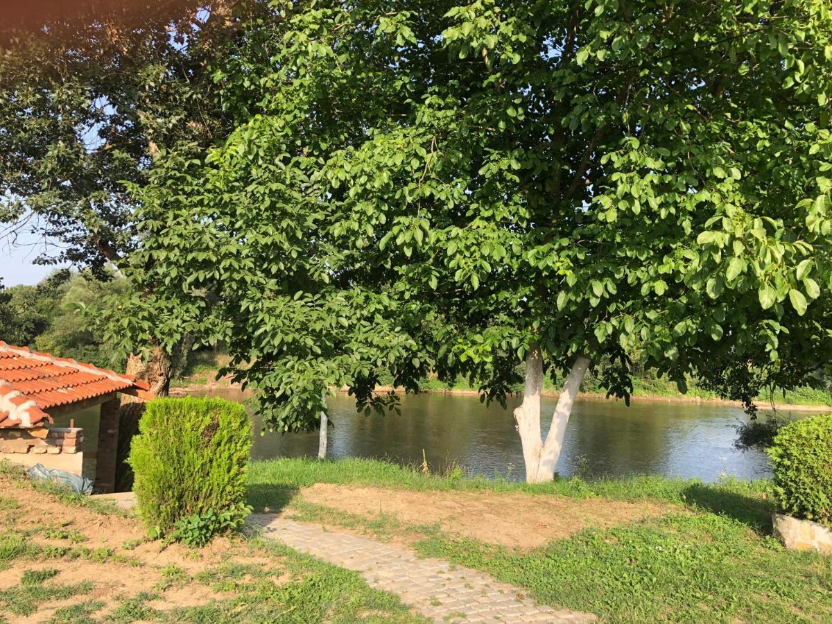 Apartmani Morava 54 Kocino Selo Bagian luar foto