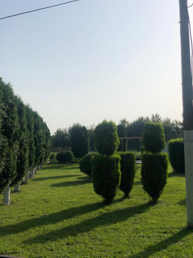 Apartmani Morava 54 Kocino Selo Bagian luar foto