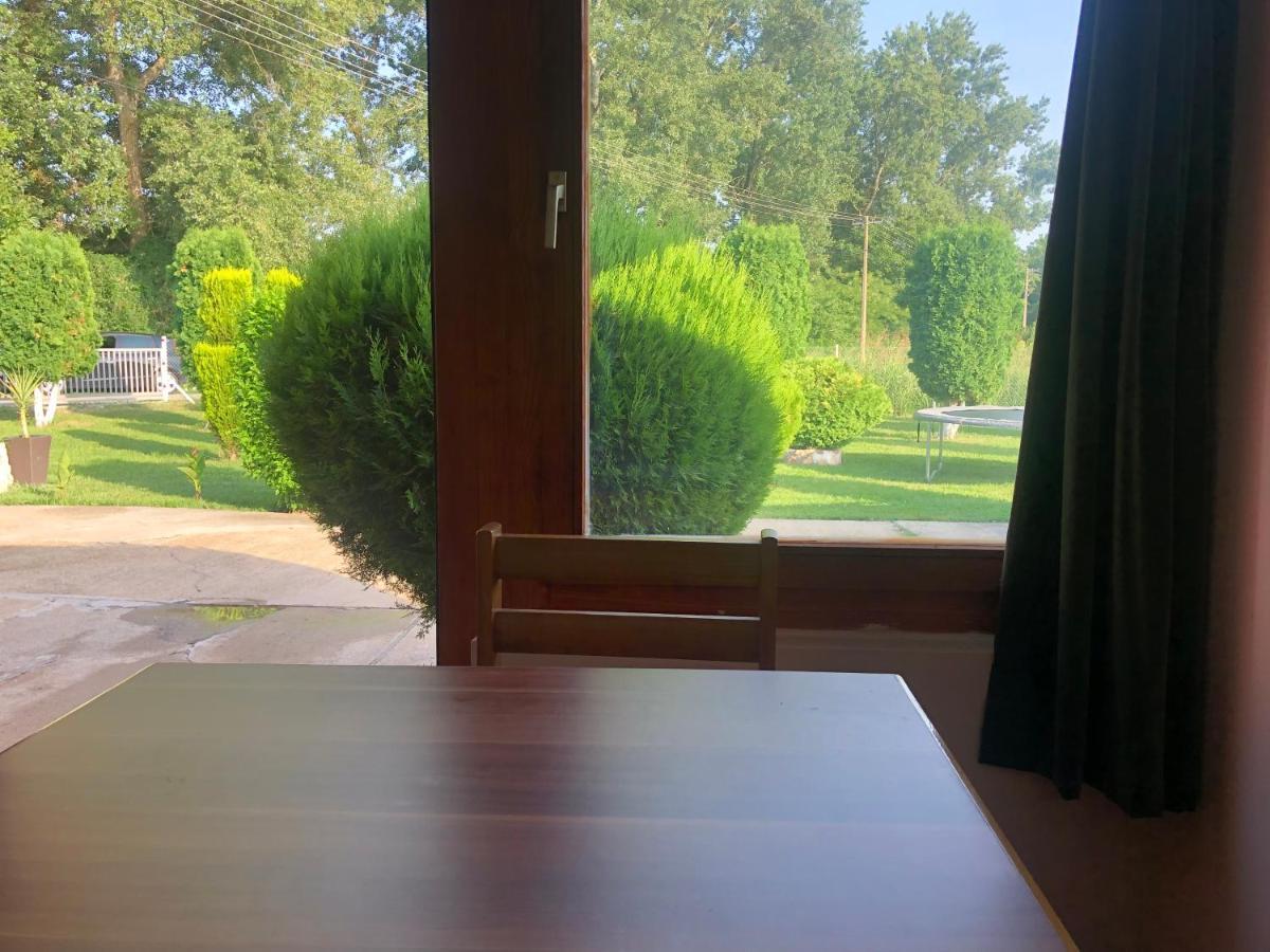 Apartmani Morava 54 Kocino Selo Bagian luar foto