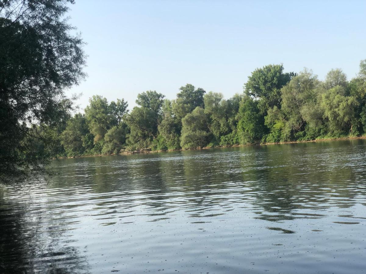 Apartmani Morava 54 Kocino Selo Bagian luar foto