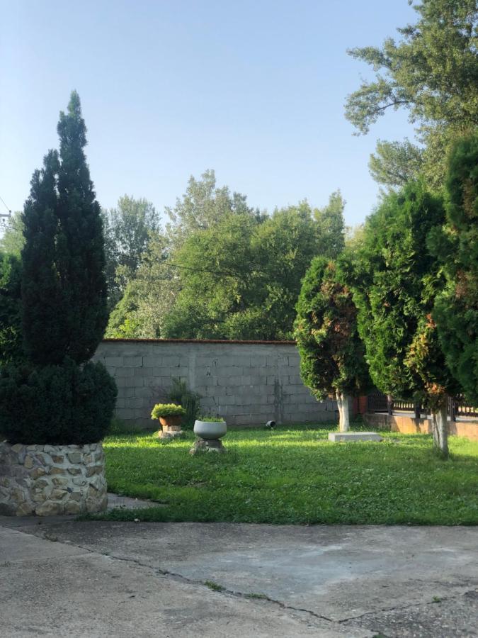 Apartmani Morava 54 Kocino Selo Bagian luar foto